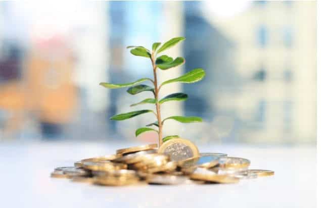 Seed Enterprise Investment Scheme (SEIS) to raise money for your company